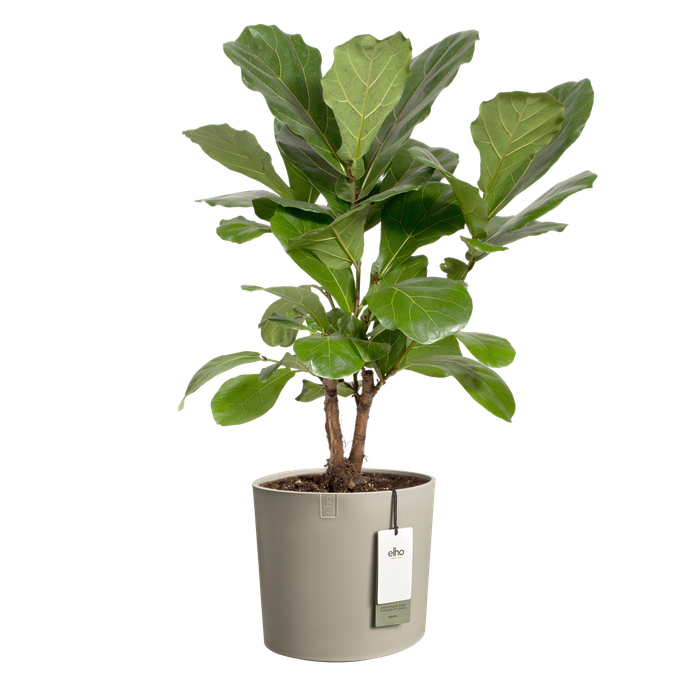 eden 30cm zacht taupe
